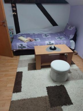 Private Room u Apartmanu Seka
